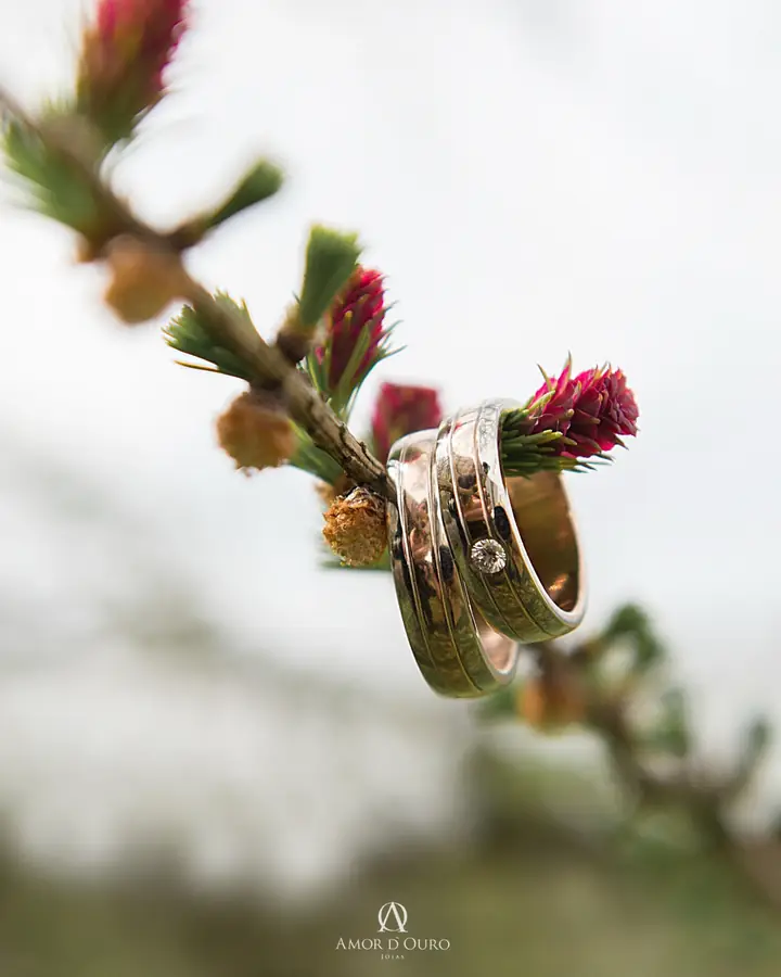 Alianças em ouro e ouro branco com diamante apoiadas em galho florido